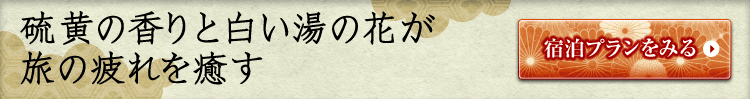 硫黄の香りと白い湯の花が旅の疲れを癒す