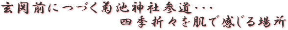 玄関前につづく菊池神社参道・・・四季折々を肌で感じる場所