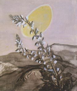 69 アカンサスのある山 (1984)