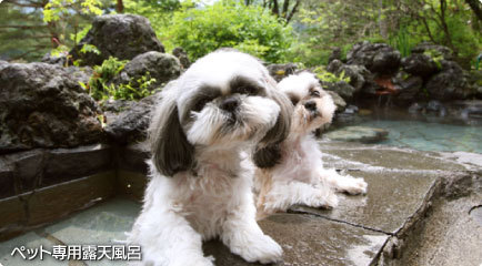 ペット専用露天風呂