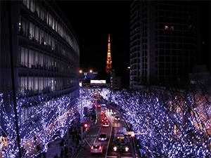 クリスマスイルミネーション&お台場クリスマスクルーズ