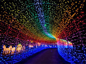 クリスマスナイトクルージング＆三井アウトレットパーク木更津