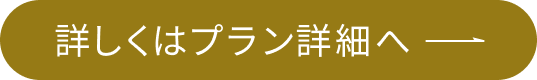 詳しくはプラン詳細へ