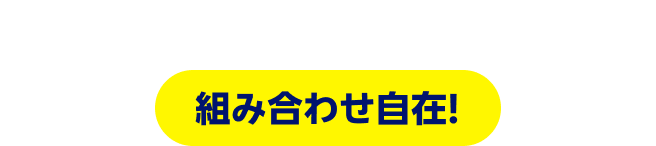 羽田・成田↔シンガポール 1日4往復 組み合わせ自在!