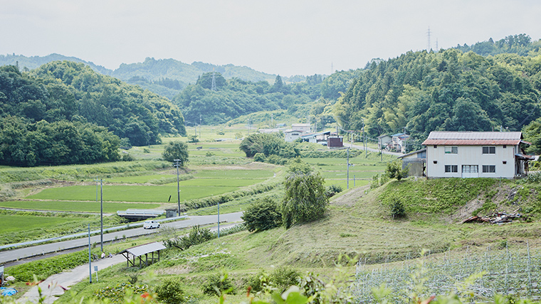 福島の農作物の現状