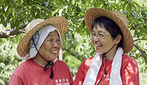 須賀川市 阿部農縁
