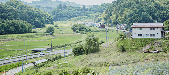 福島の農作物の現状