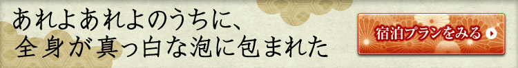 あれよあれよのうちに、全身が真っ白な泡に包まれた