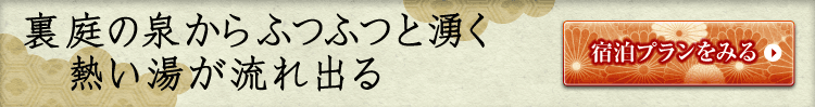 裏庭の泉からふつふつと湧く熱い湯が流れ出る