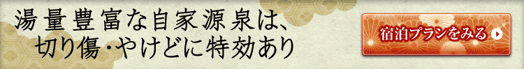 湯量豊富な自家源泉は、切り傷・やけどに特効あり