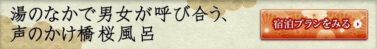 湯のなかで男女が呼び合う、声のかけ橋桜風呂
