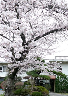 鬼石観光ホテル