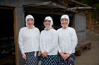 �����C�������̌�