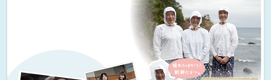 �����C�������̌�