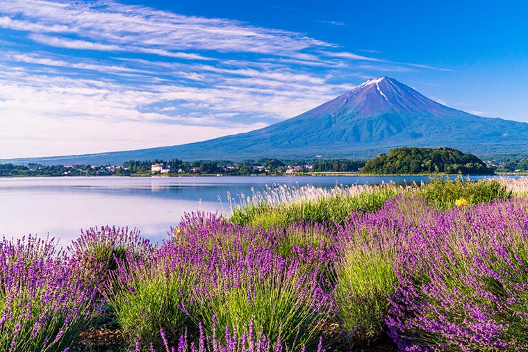 河口湖温泉 湖畔