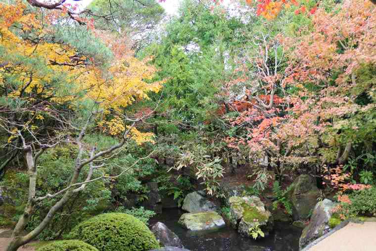 足立美術館に庭はモミジやカエデで彩られる