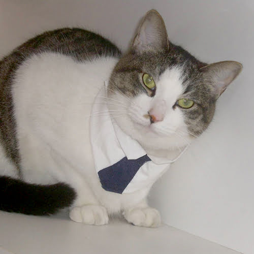 ＴＡＭＡ　ＨＯＴＥＬ「マーブル」