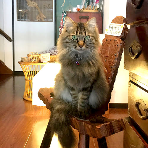 小野川温泉　亀屋万年閣 「なな」