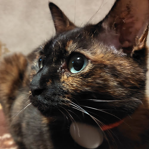 宇佐美温泉　温泉民宿　海風荘「くま」