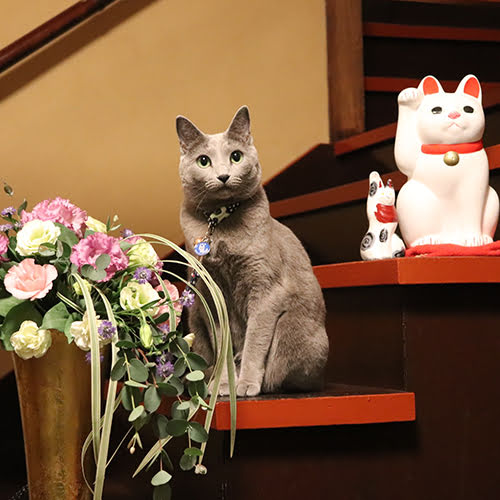 藤家旅館「リリー」