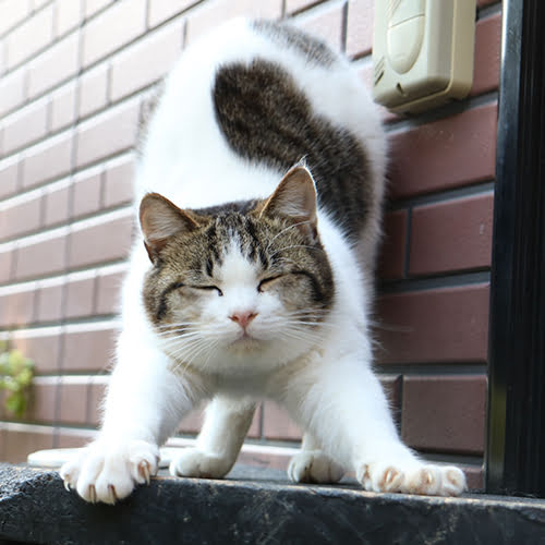 月影の丘ホテル　ヴィラ勝山アヴェール「ラブ」