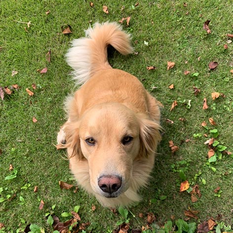 水上温泉　ペンション　朝ねぼう「コスモ」