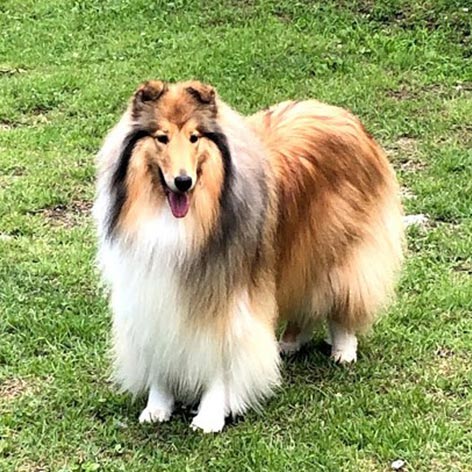 西発哺温泉ホテル「エマ」