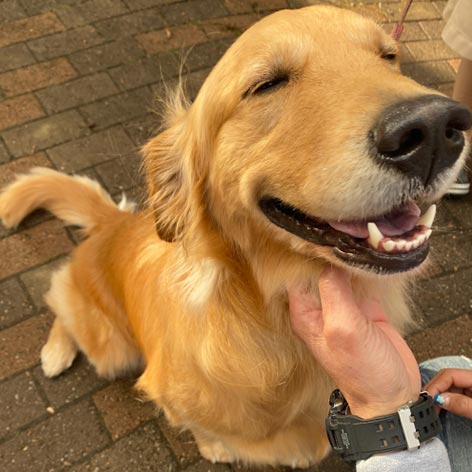 那須温泉　ホテルエピナール那須「こなす」