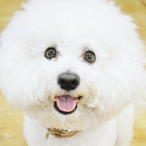 ＨＯＴＥＬ　３Ｏ’ＣＬＯＣＫ　ＴＥＮＮＯＪＩ「オレオ店長」