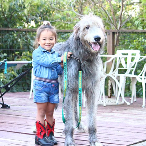 伊豆高原　ドッグリゾート　ＯＮＥ　ＭＯＲＥ（ワンモア）「ルパン二世（通称ルーニー）」