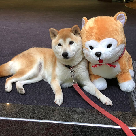 犬鳴山温泉　み奈美亭「さくら」
