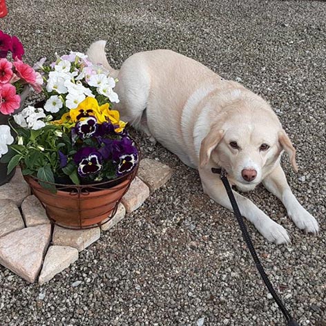 那須黒磯温泉　かんすい苑　覚楽「ナナ」
