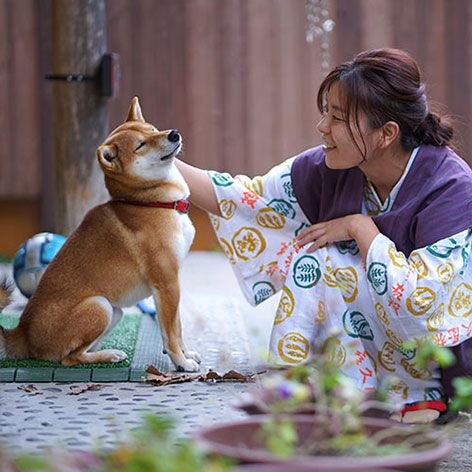 鷹ノ巣温泉　四季の郷　喜久屋「はっちー」