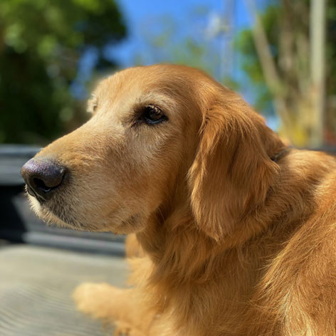 むりぶしの宿「リリー」