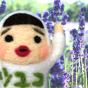 Profile picture for user ツユコ