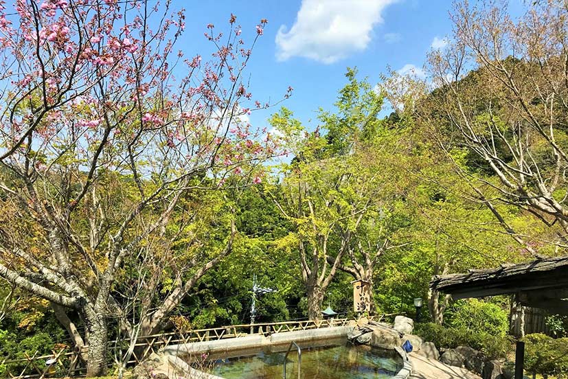 養老温泉　秘湯の宿　滝見苑