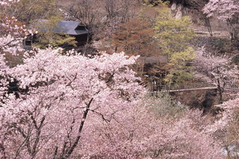 宝川温泉汪泉閣