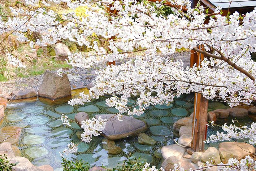 村杉温泉　風雅の宿　長生館