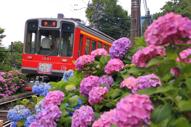 箱根登山鉄道沿線