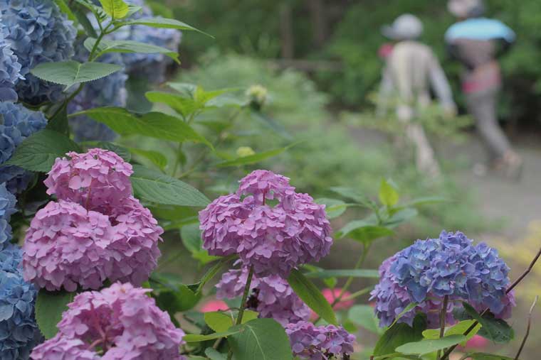 有珠善光寺・有珠善光寺自然公園