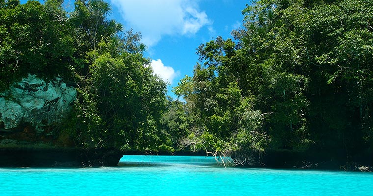 ミルキーウェイ