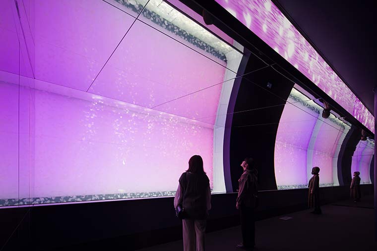 アクアワールド茨城県大洗水族館