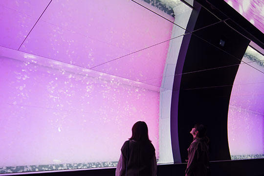 アクアワールド茨城県大洗水族館