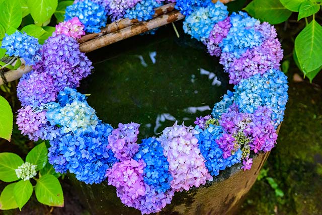 雲昌寺（うんしょうじ）