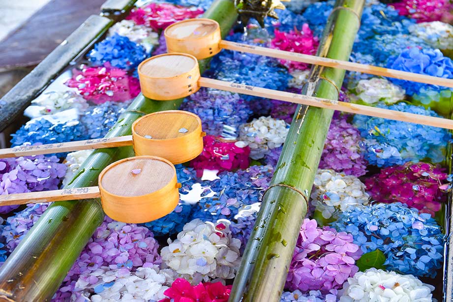 柳谷観音 楊谷寺