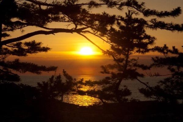 鵜の浜温泉　高台の宿　三景