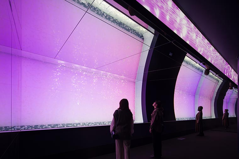 アクアワールド茨城県大洗水族館