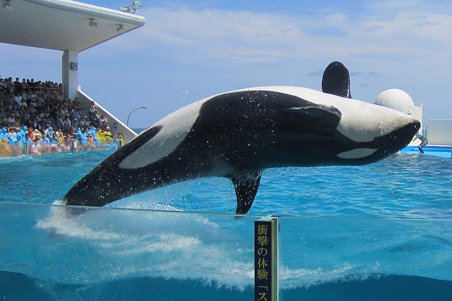 鴨川シーワールド