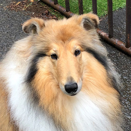 西発哺温泉ホテル「エマ」