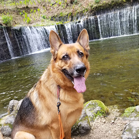 軽井沢　ホテルそよかぜ「春」